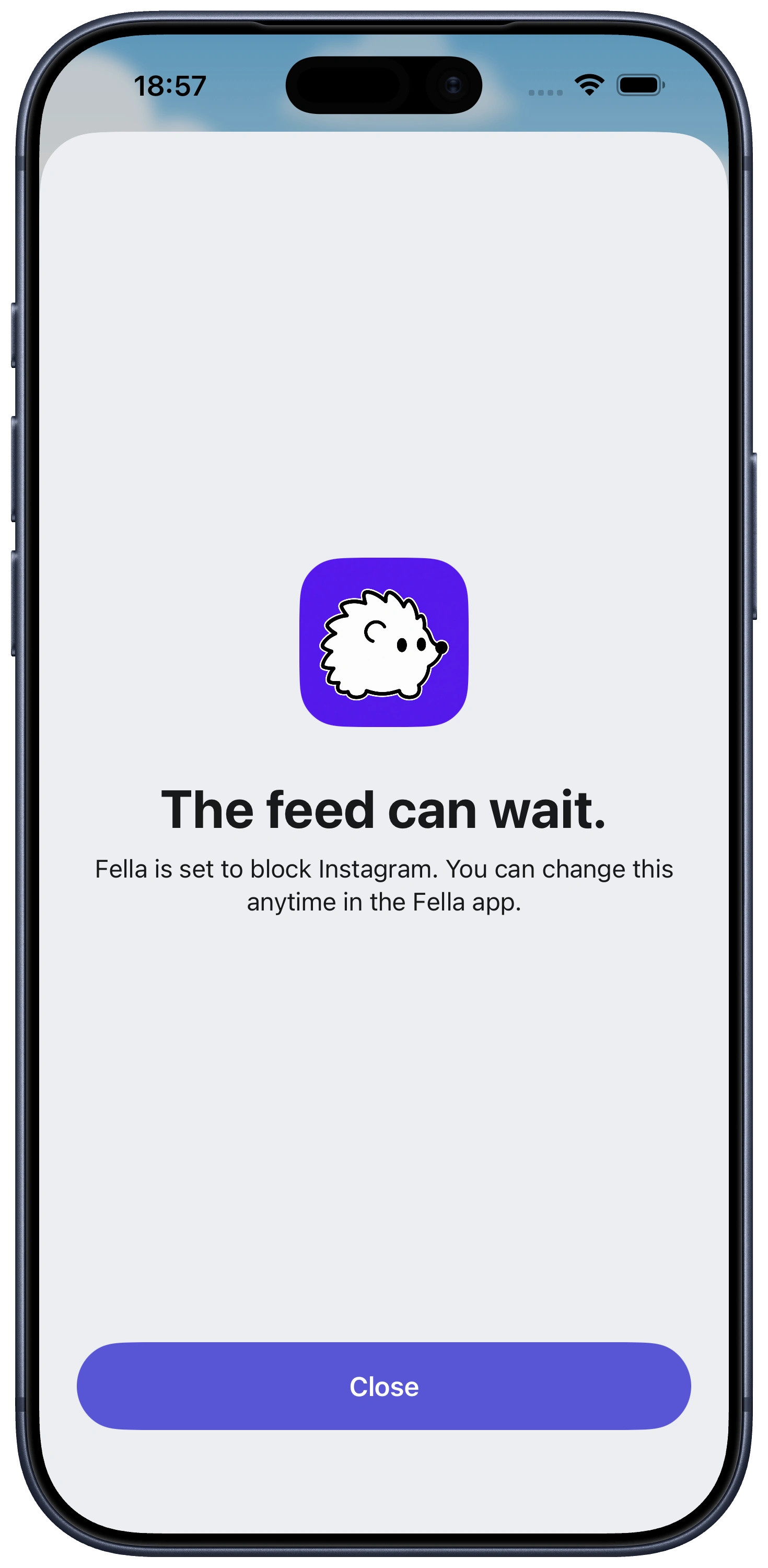 Fella blocked app screen